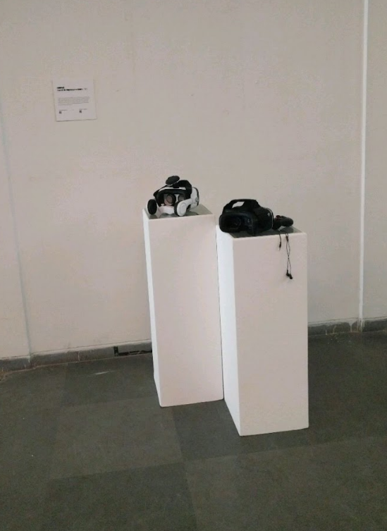Nirupane at Alpavirama exhibit