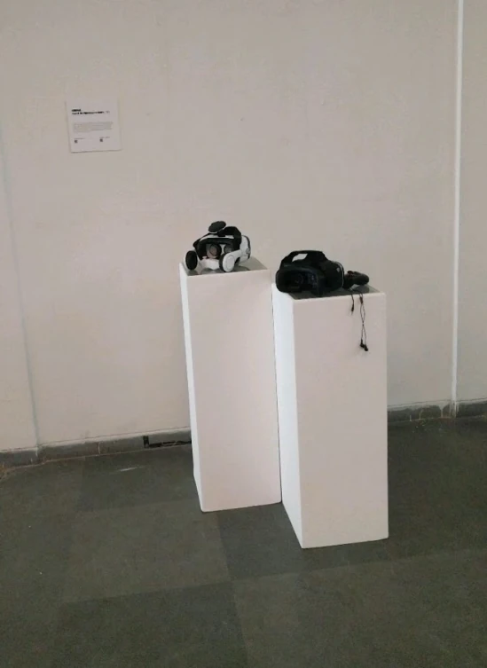 Nirupane at Alpavirama exhibit